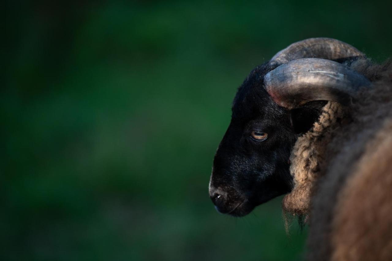 Ecogranja Sierra Hermosa Cecenas Dış mekan fotoğraf